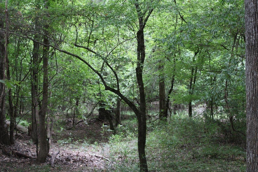 429.13 acres in Texas County - photo 10