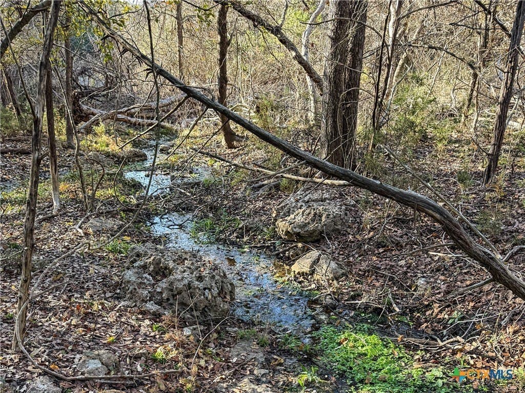 103.68 acres in McLennan County - photo 8