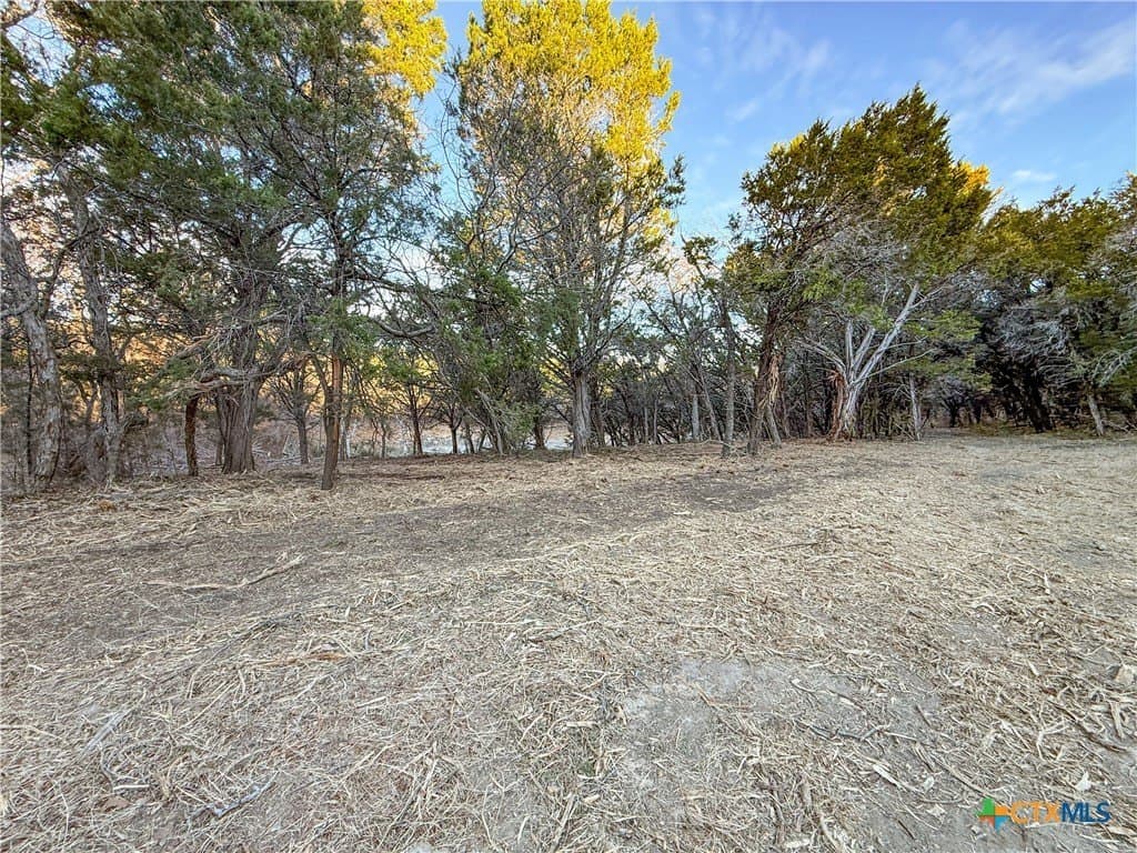 103.68 acres in McLennan County - photo 17