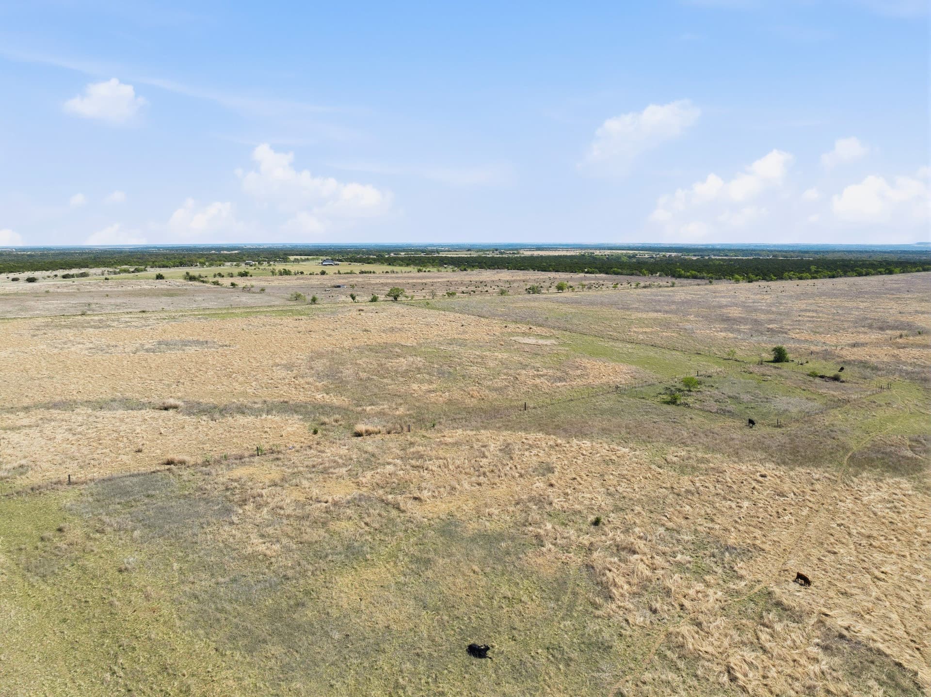182.82 acres in Coryell County - photo 13