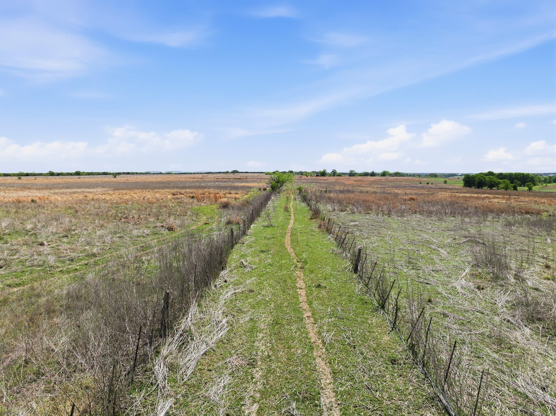 182.82 acres in Coryell County - photo 15