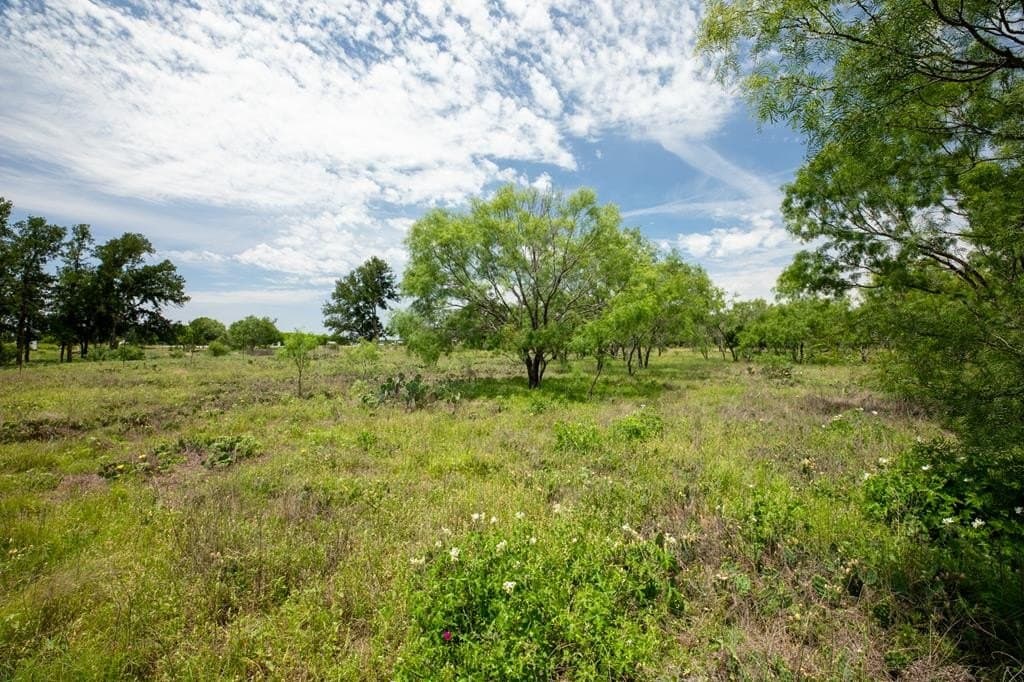 27.1 acres in Gillespie County - photo 30