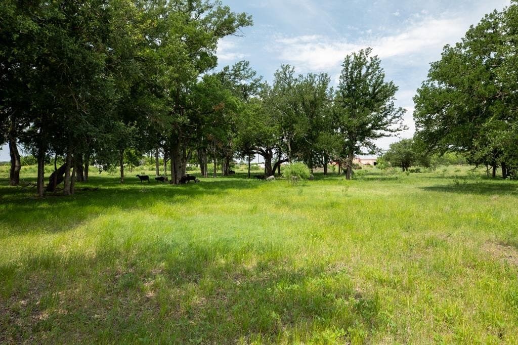 27.1 acres in Gillespie County - photo 23