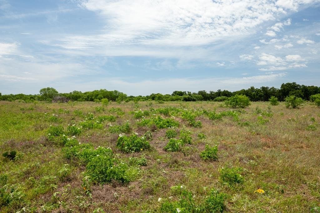 27.1 acres in Gillespie County - photo 34