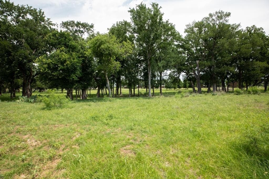 27.1 acres in Gillespie County - photo 4