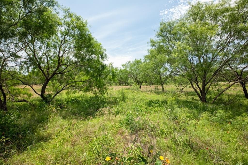 27.1 acres in Gillespie County - photo 32