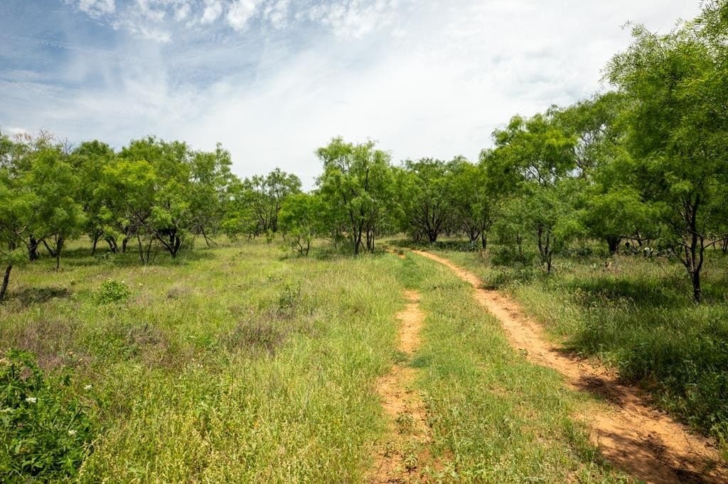 27.1 acres in Gillespie County - photo 2