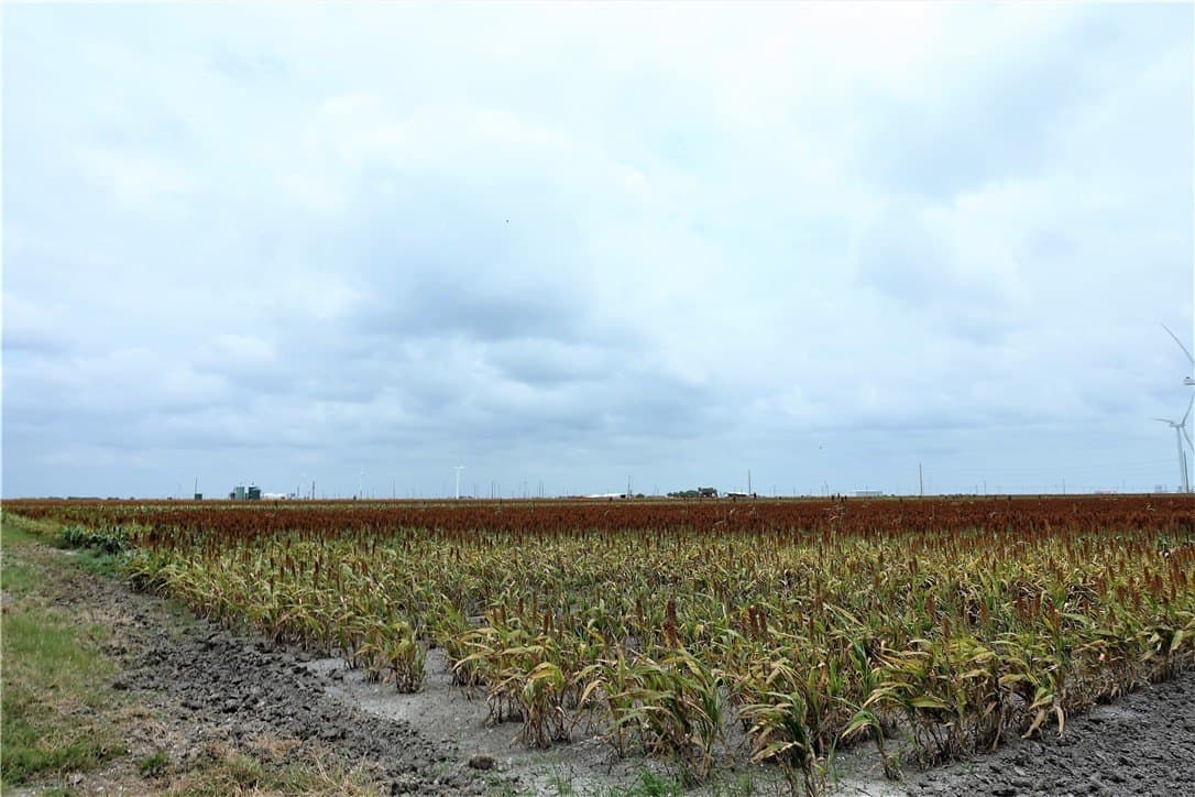 179.98 acres in San Patricio County featured view