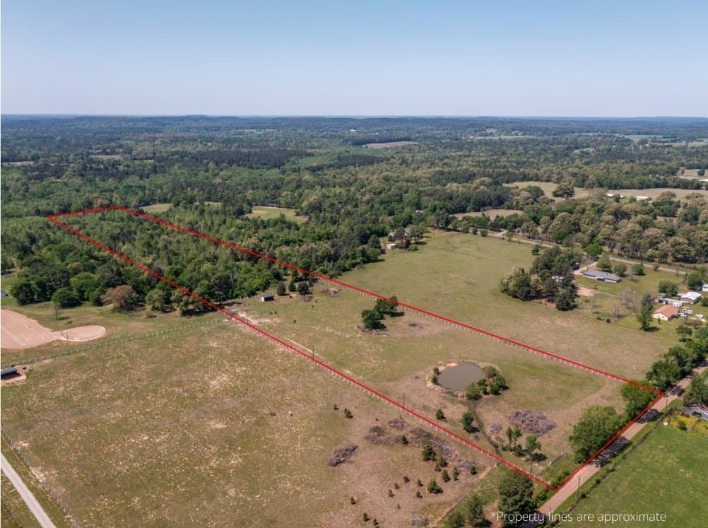 20 acres in Henderson County gallery image 2
