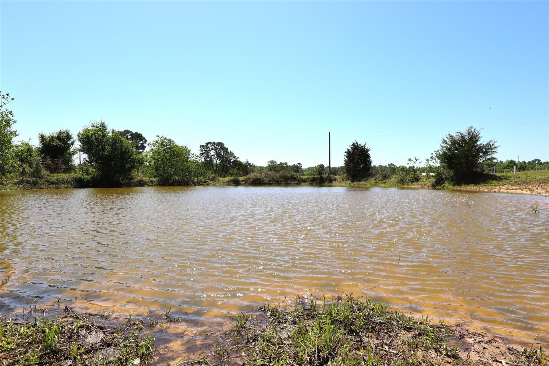 20 acres in Henderson County - photo 7
