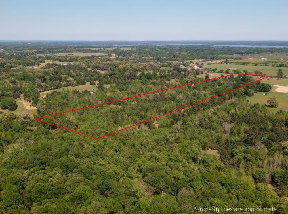 20 acres in Henderson County - photo 13