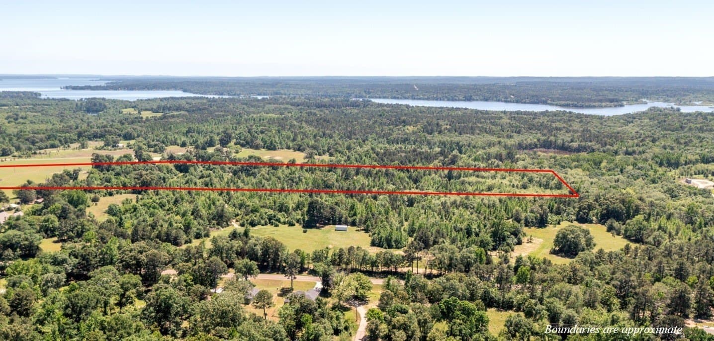20 acres in Henderson County gallery image 3