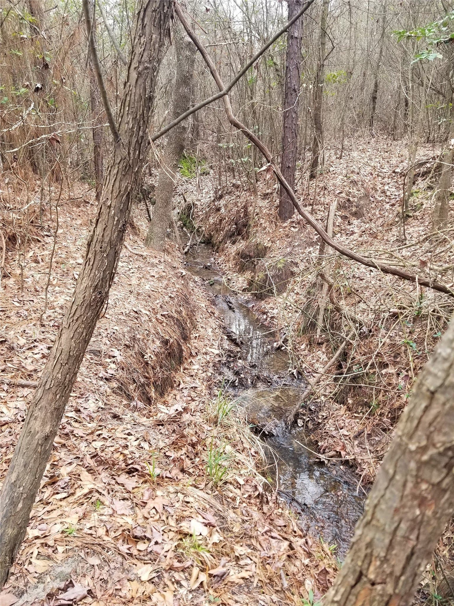 20 acres in Henderson County - photo 11