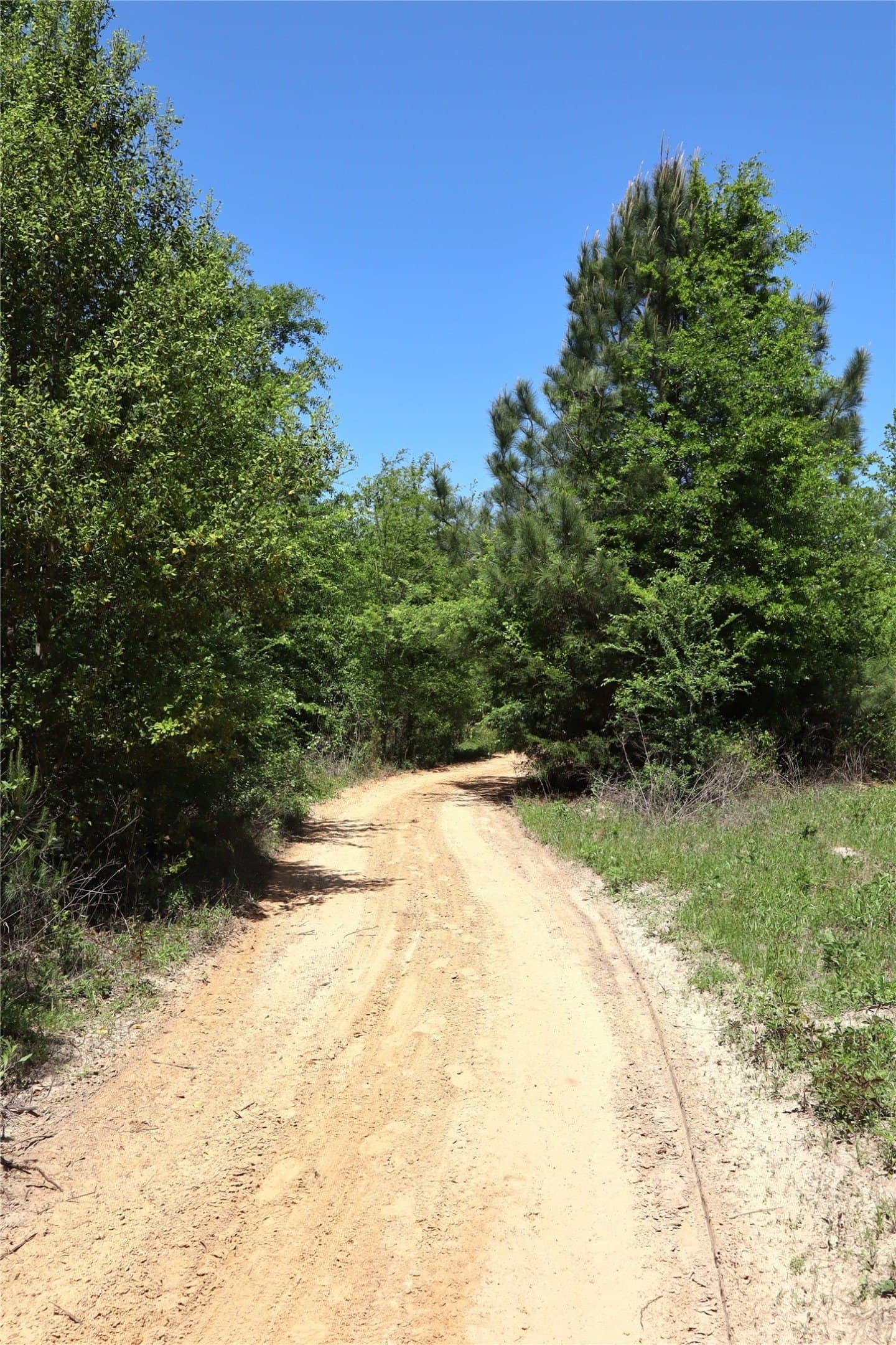 20 acres in Henderson County - photo 10