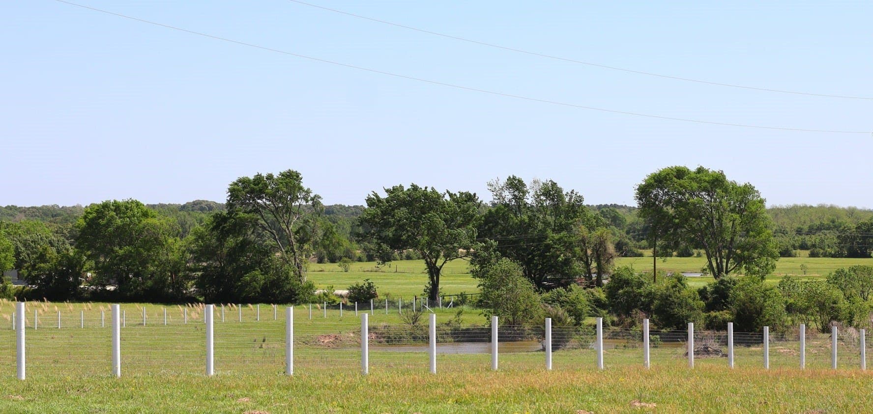 20 acres in Henderson County gallery image 4