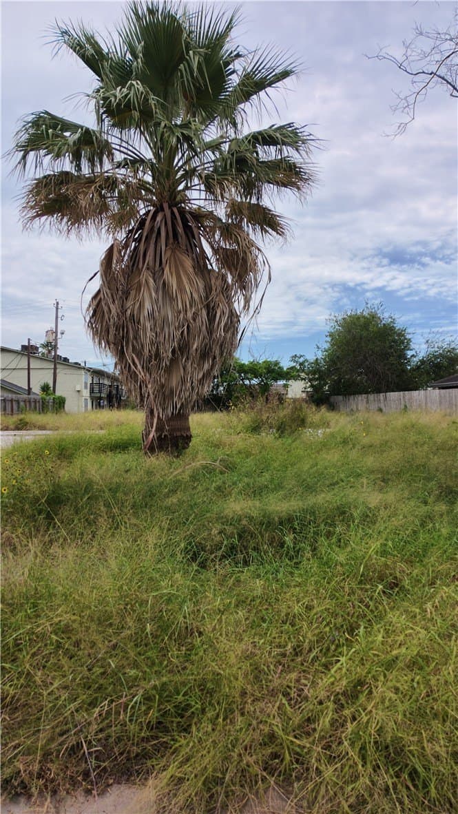 0.19 acres in Nueces County gallery image 4