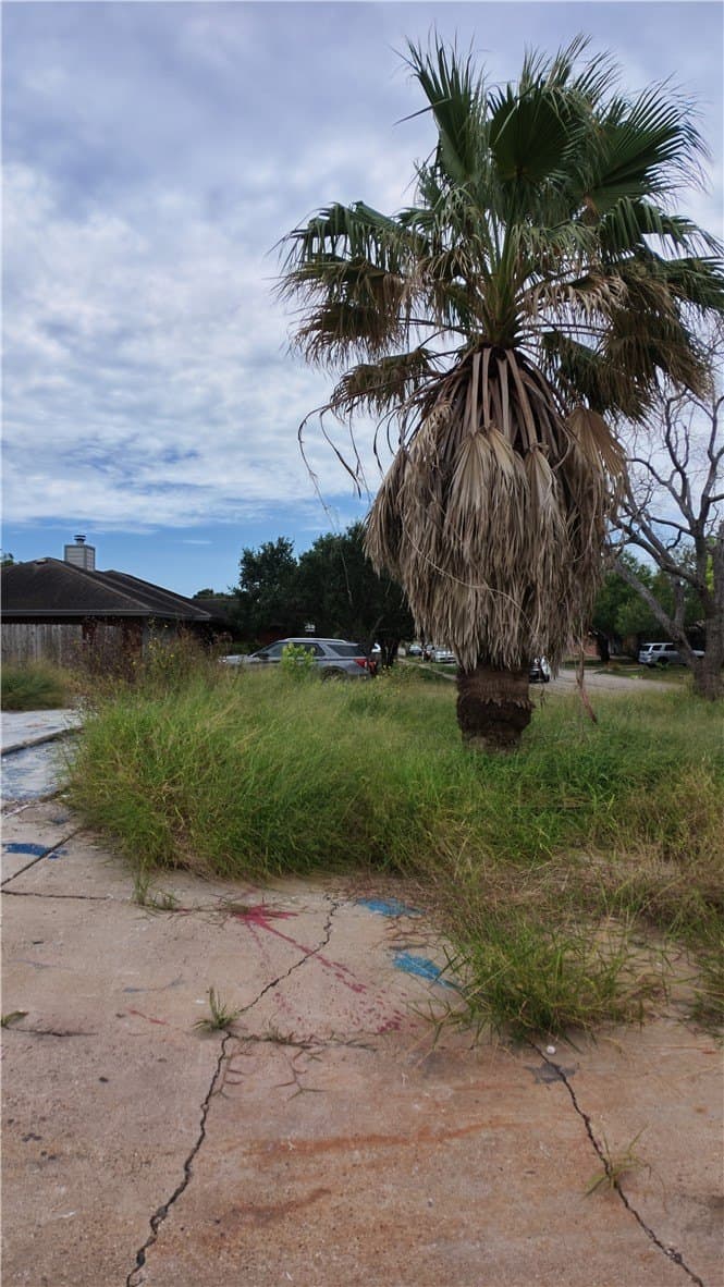 0.19 acres in Nueces County gallery image 3