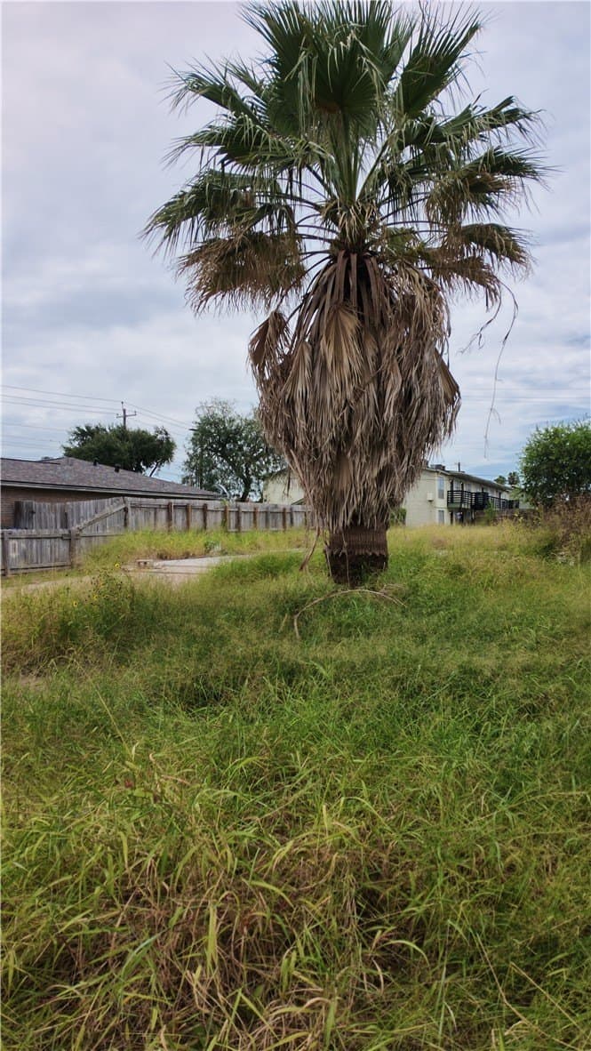 0.19 acres in Nueces County - photo 6