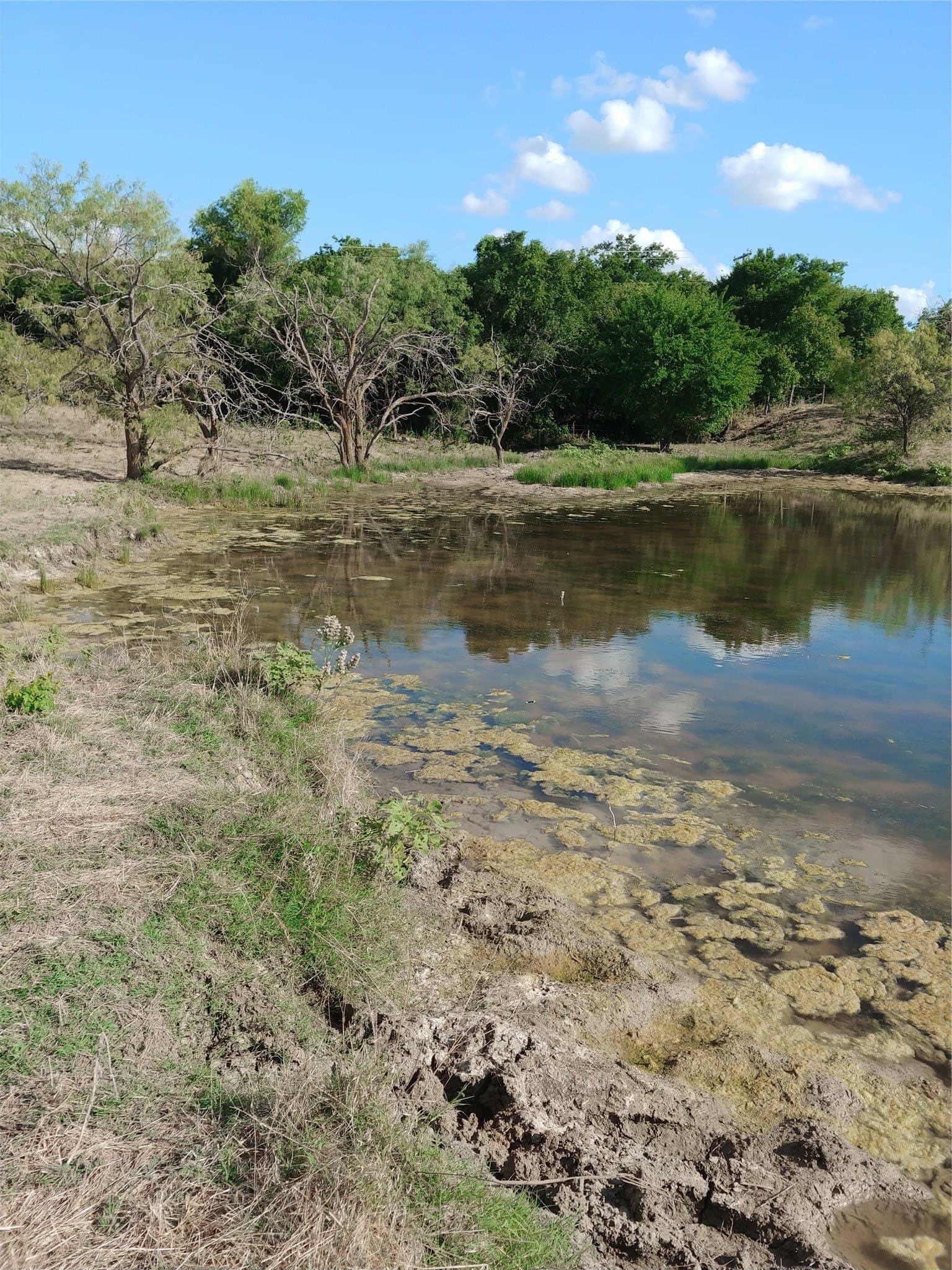11.05 acres in Hill County