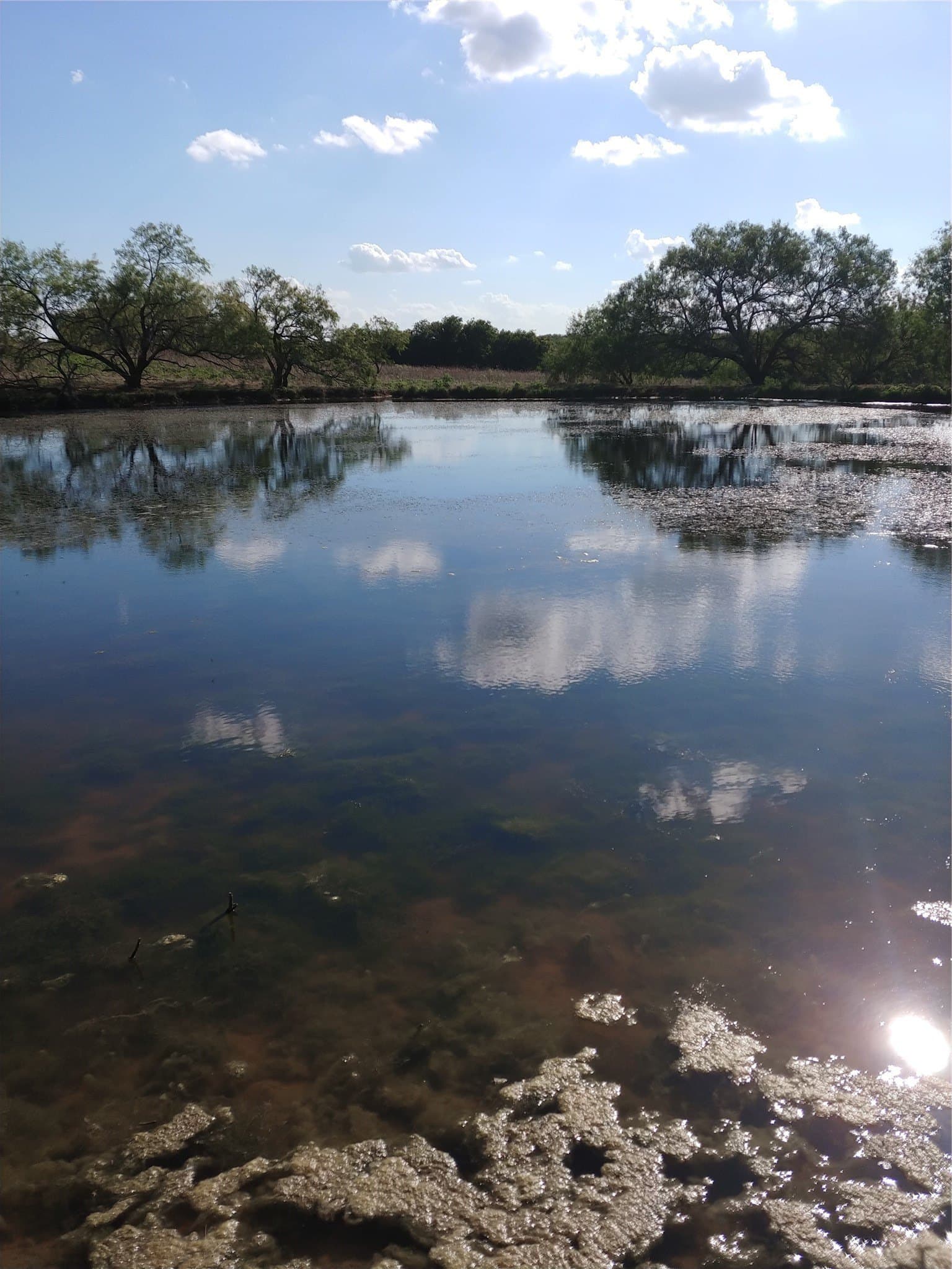 11.05 acres in Hill County - photo 2