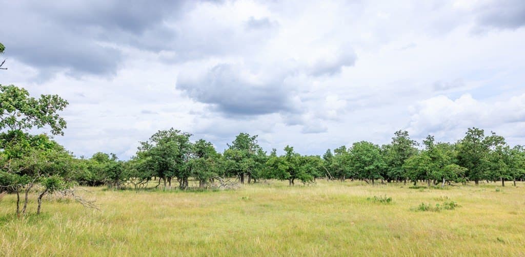 30 acres in Gillespie County - photo 41