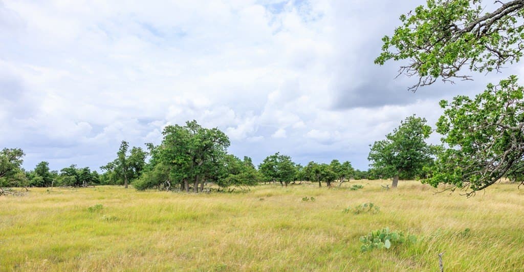 30 acres in Gillespie County - photo 40