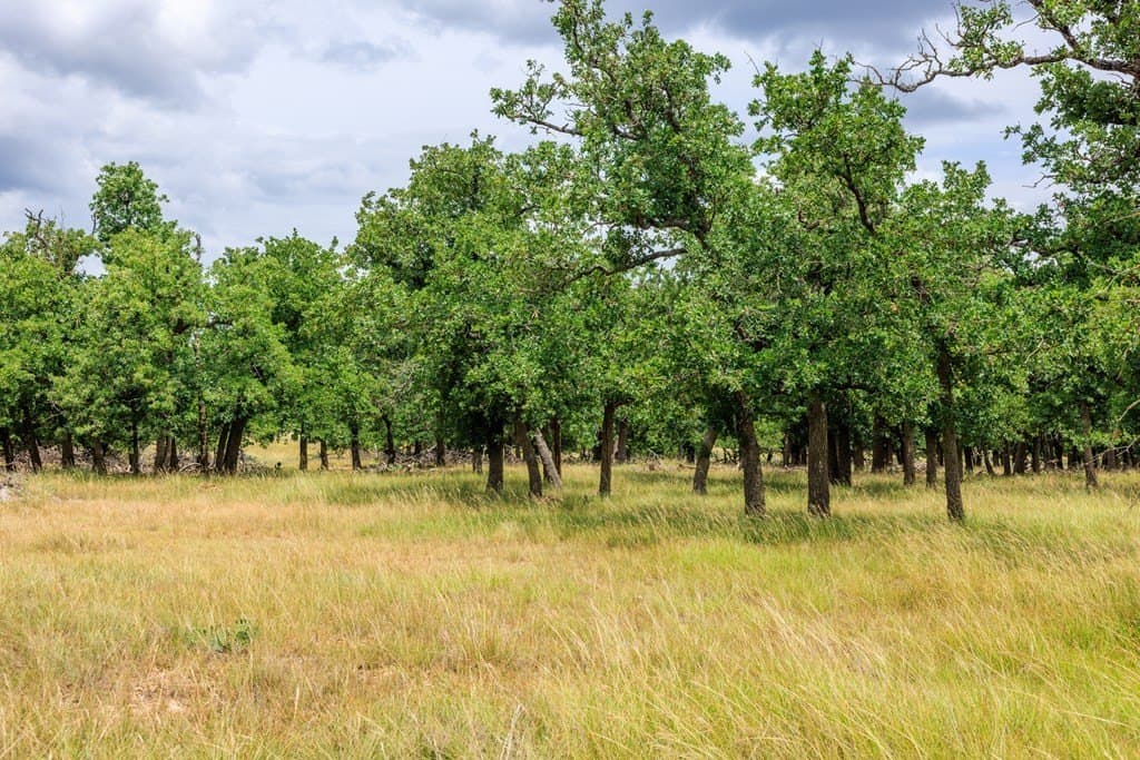 30 acres in Gillespie County - photo 43