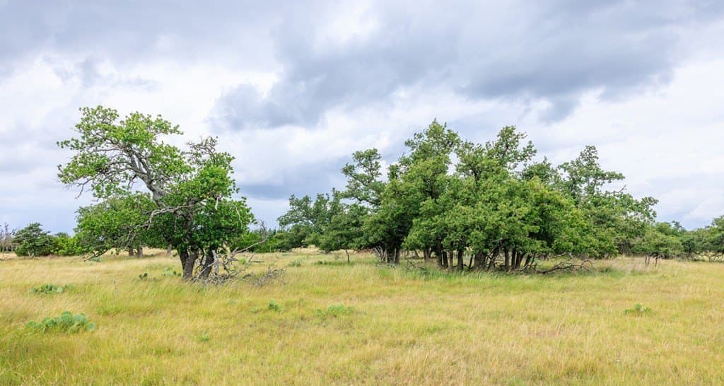 30 acres in Gillespie County - photo 39