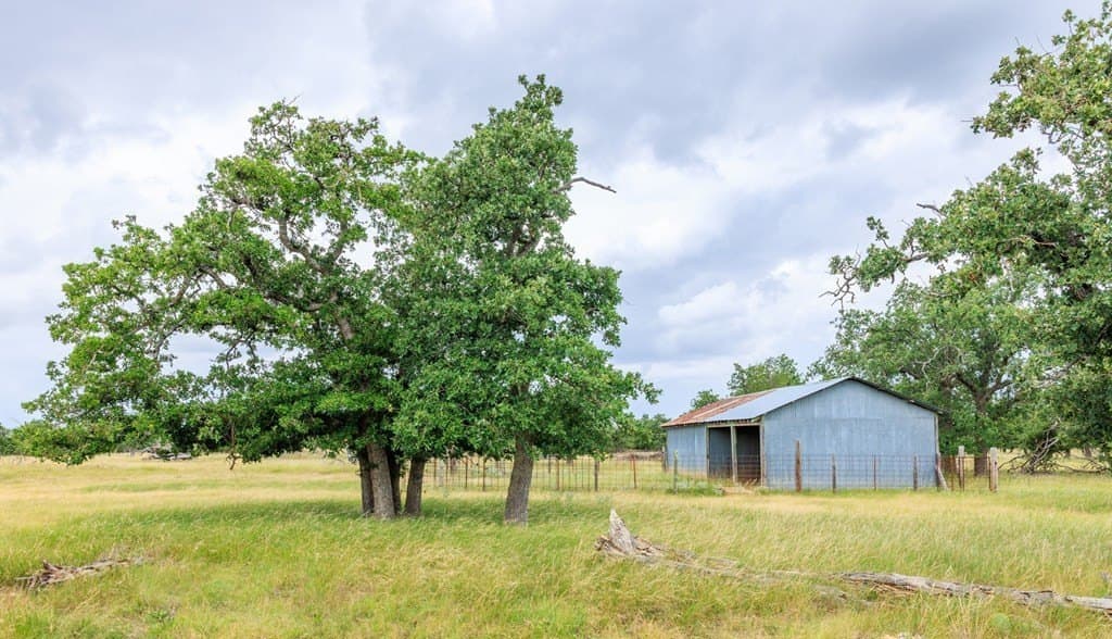30 acres in Gillespie County - photo 37