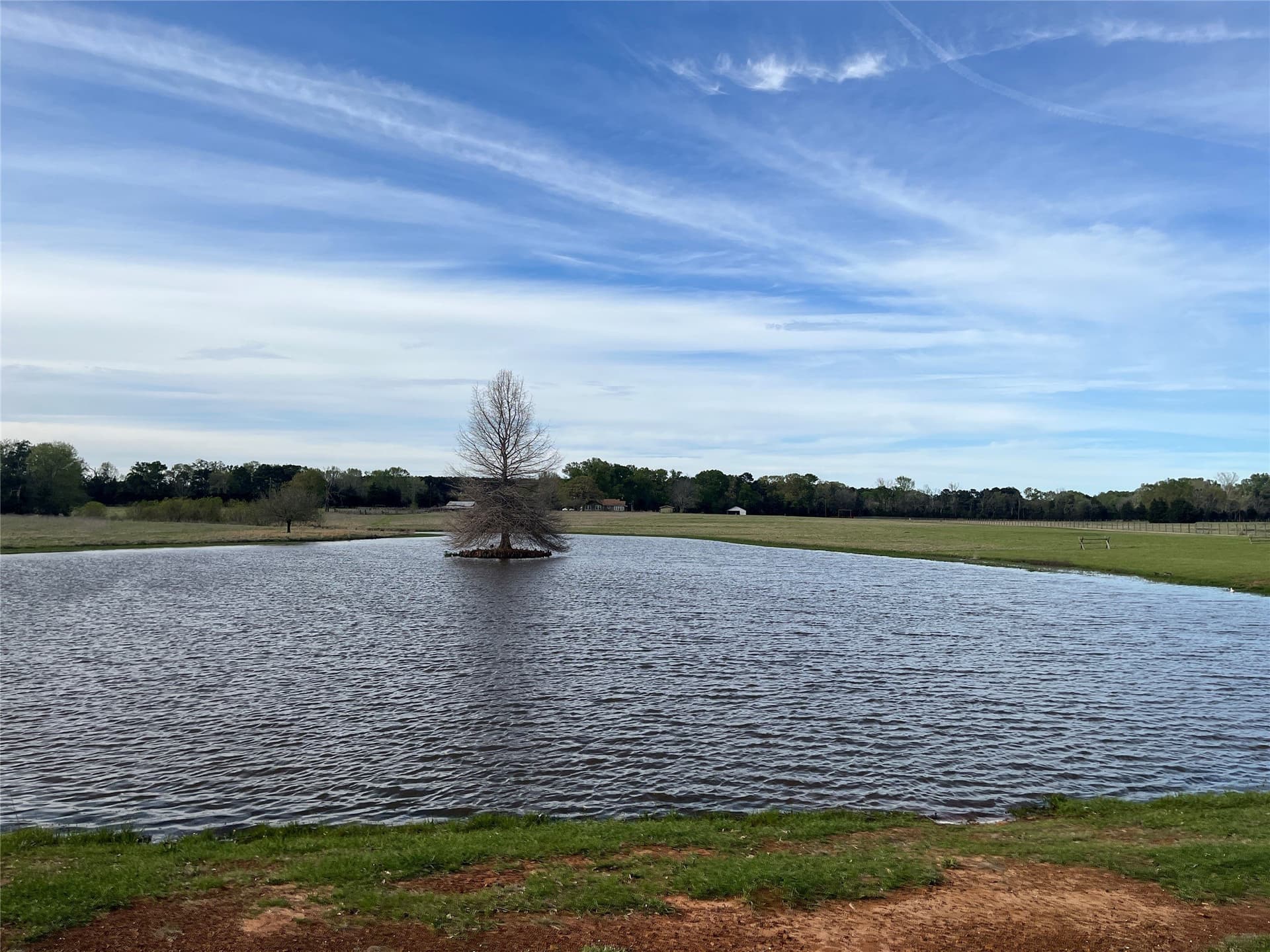112 acres in Cherokee County - photo 38