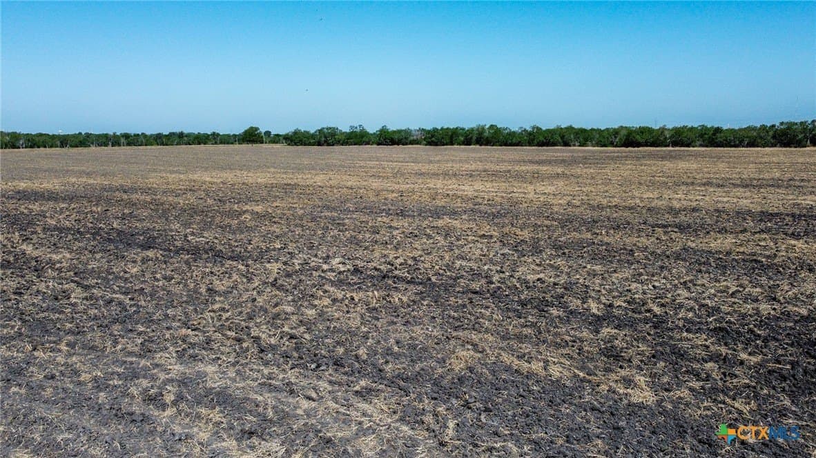 73.15 acres in Guadalupe County - photo 6