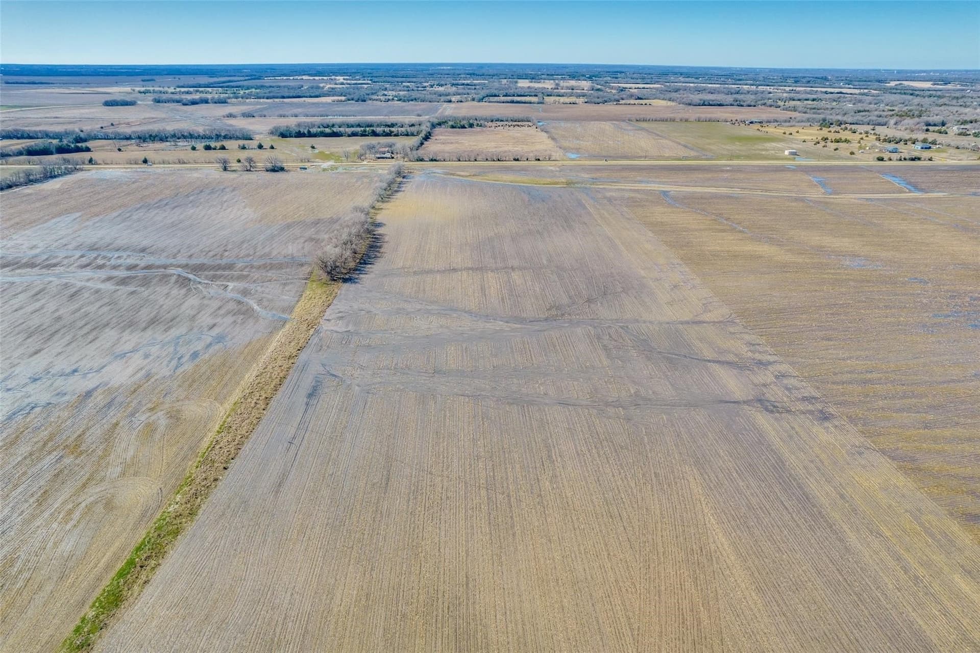 129.52 acres in Fannin County gallery image 3