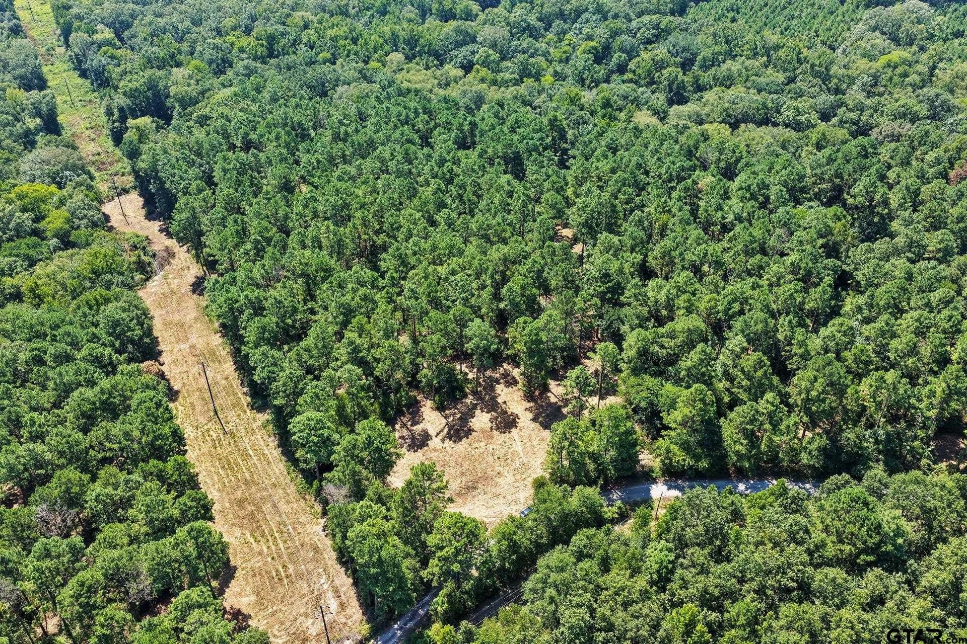 10.7 acres in Camp County - photo 6