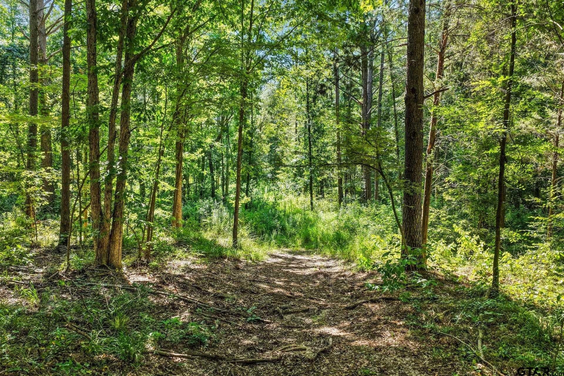 10.7 acres in Camp County - photo 4