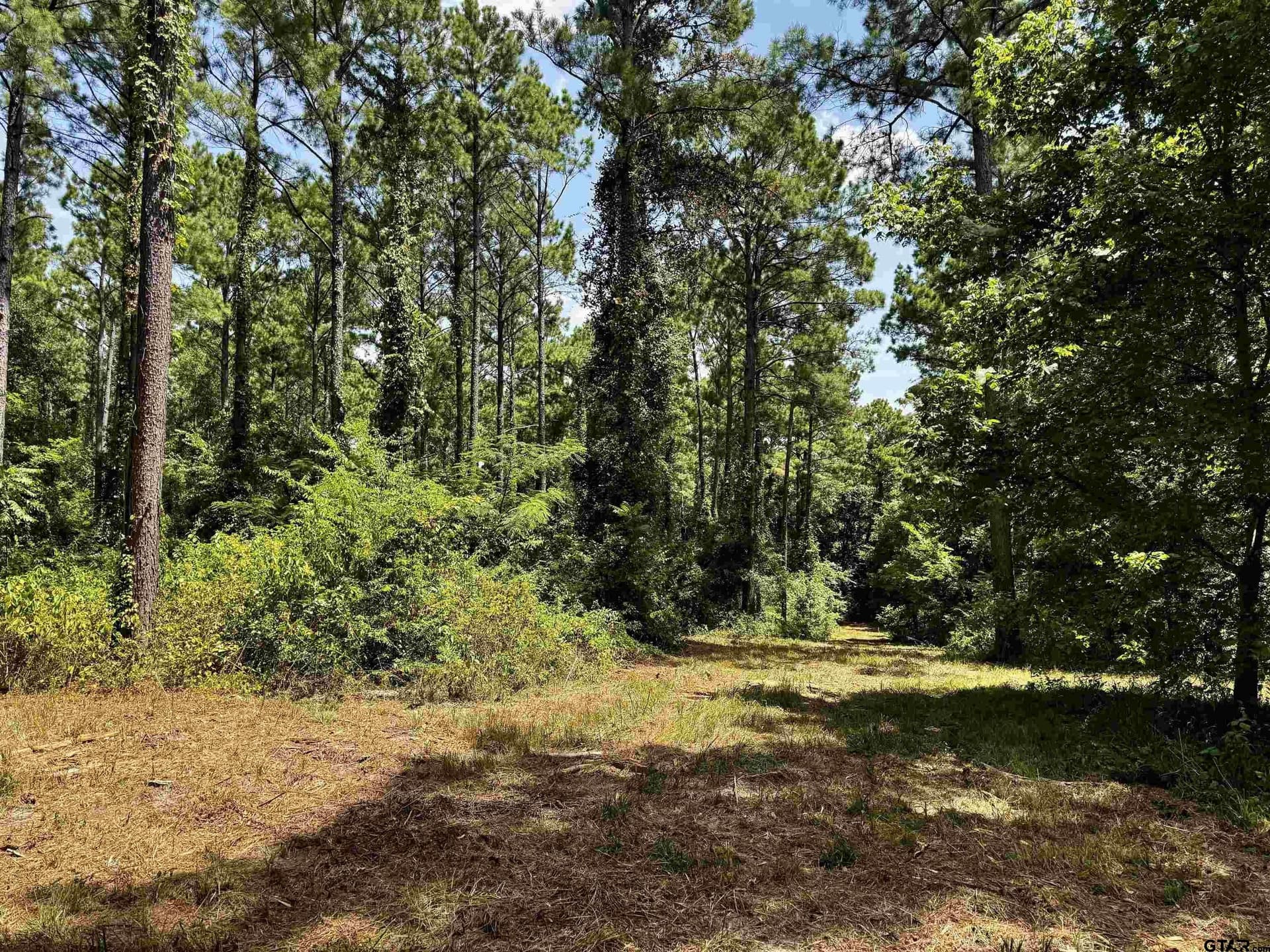 10.7 acres in Camp County - photo 12