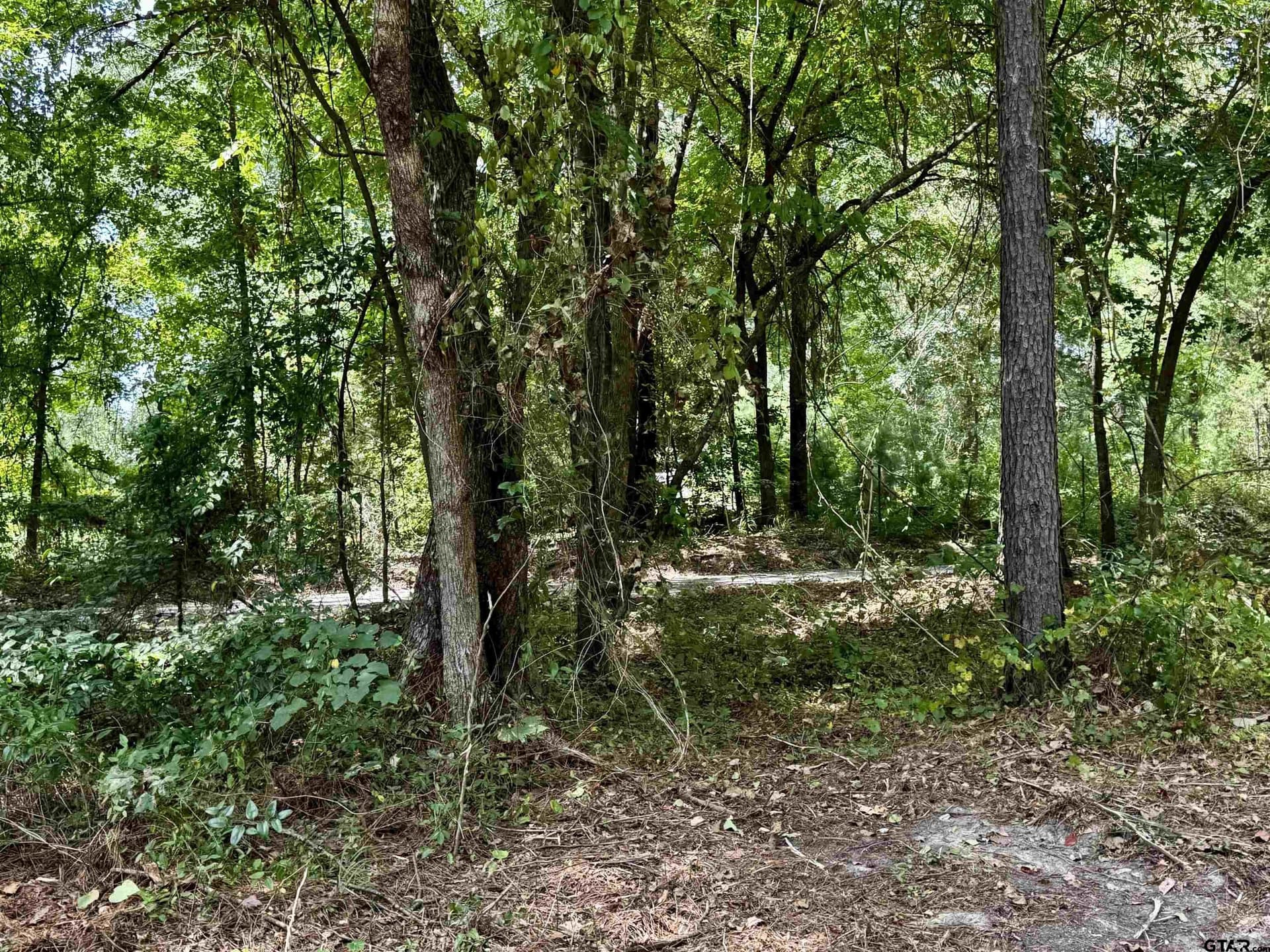 10.7 acres in Camp County - photo 18