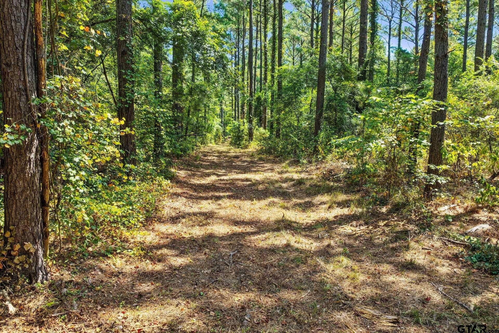 10.7 acres in Camp County - photo 29