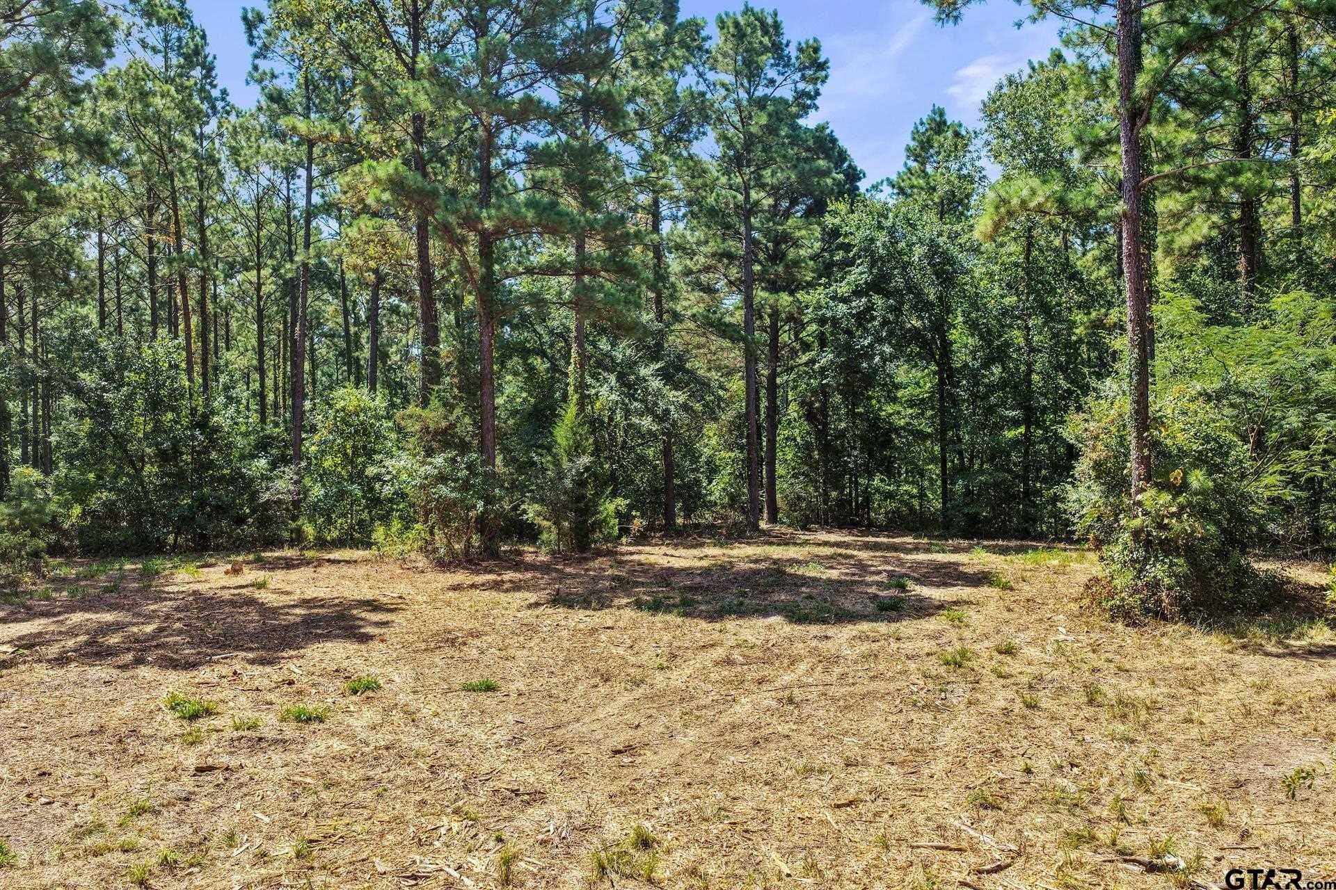 10.7 acres in Camp County - photo 20