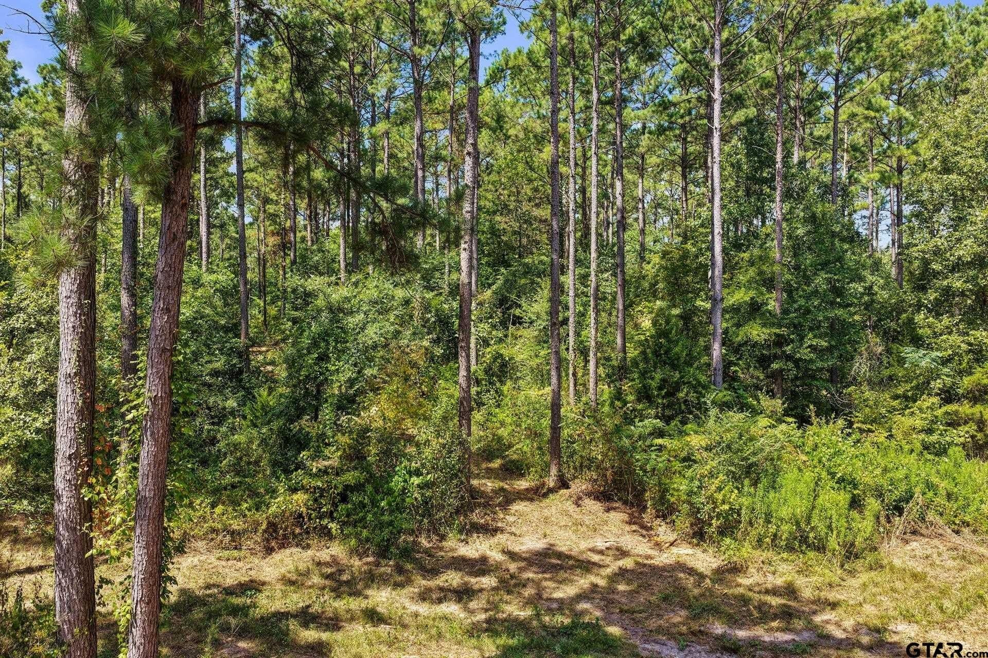 10.7 acres in Camp County - photo 34