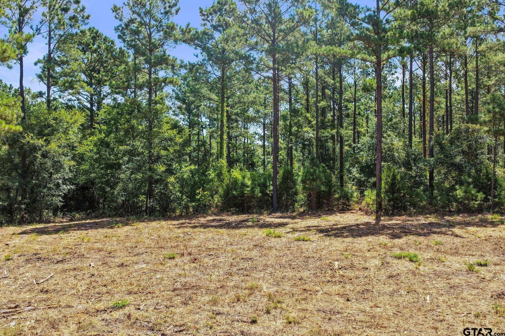 10.7 acres in Camp County - photo 19