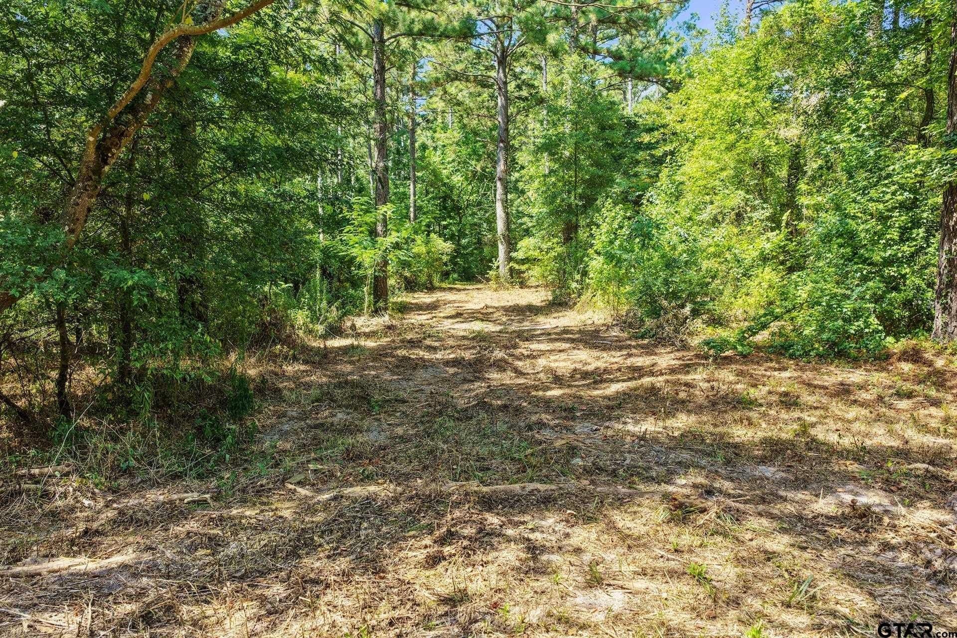 10.7 acres in Camp County - photo 24
