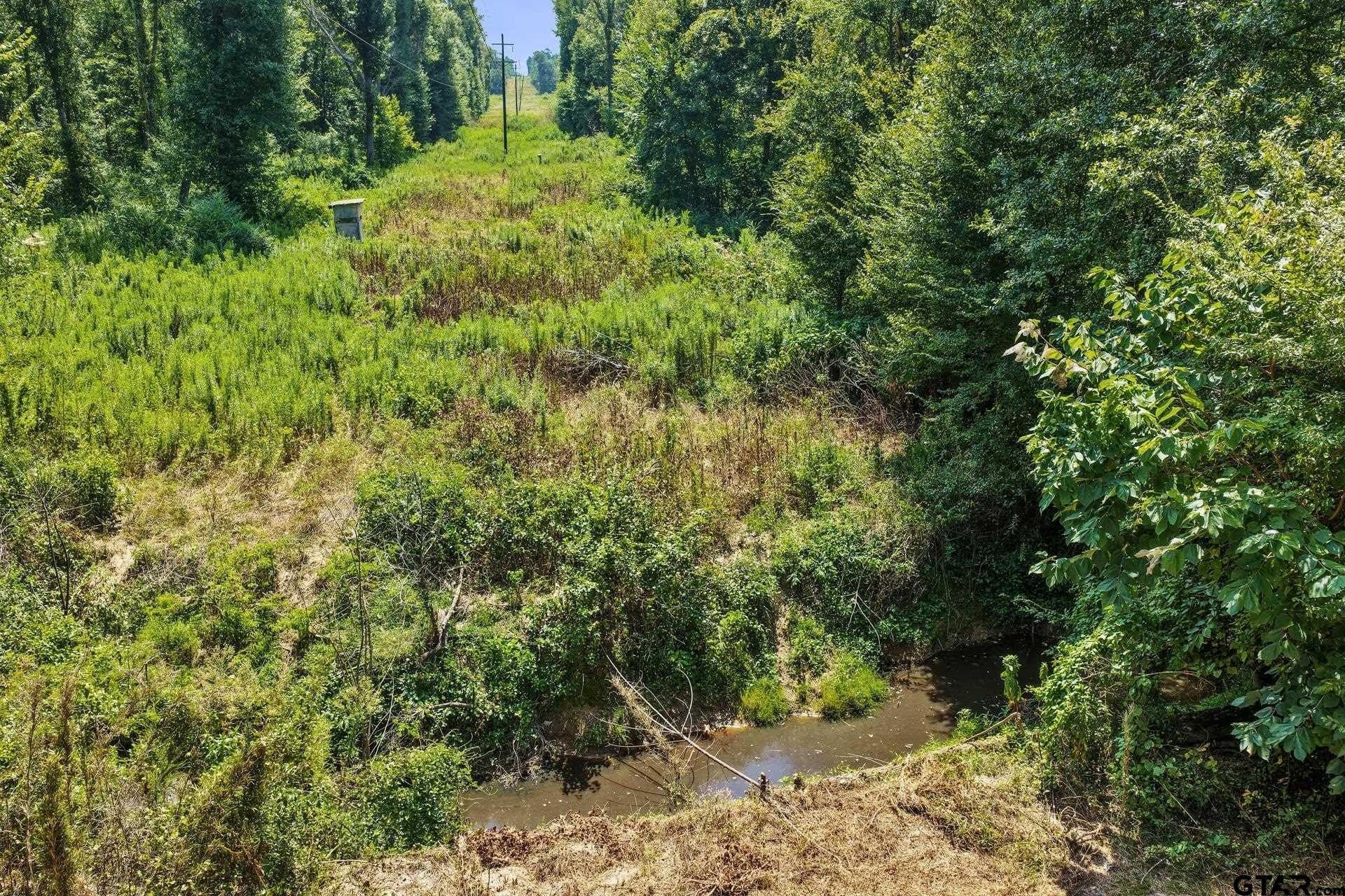 10.7 acres in Camp County - photo 33