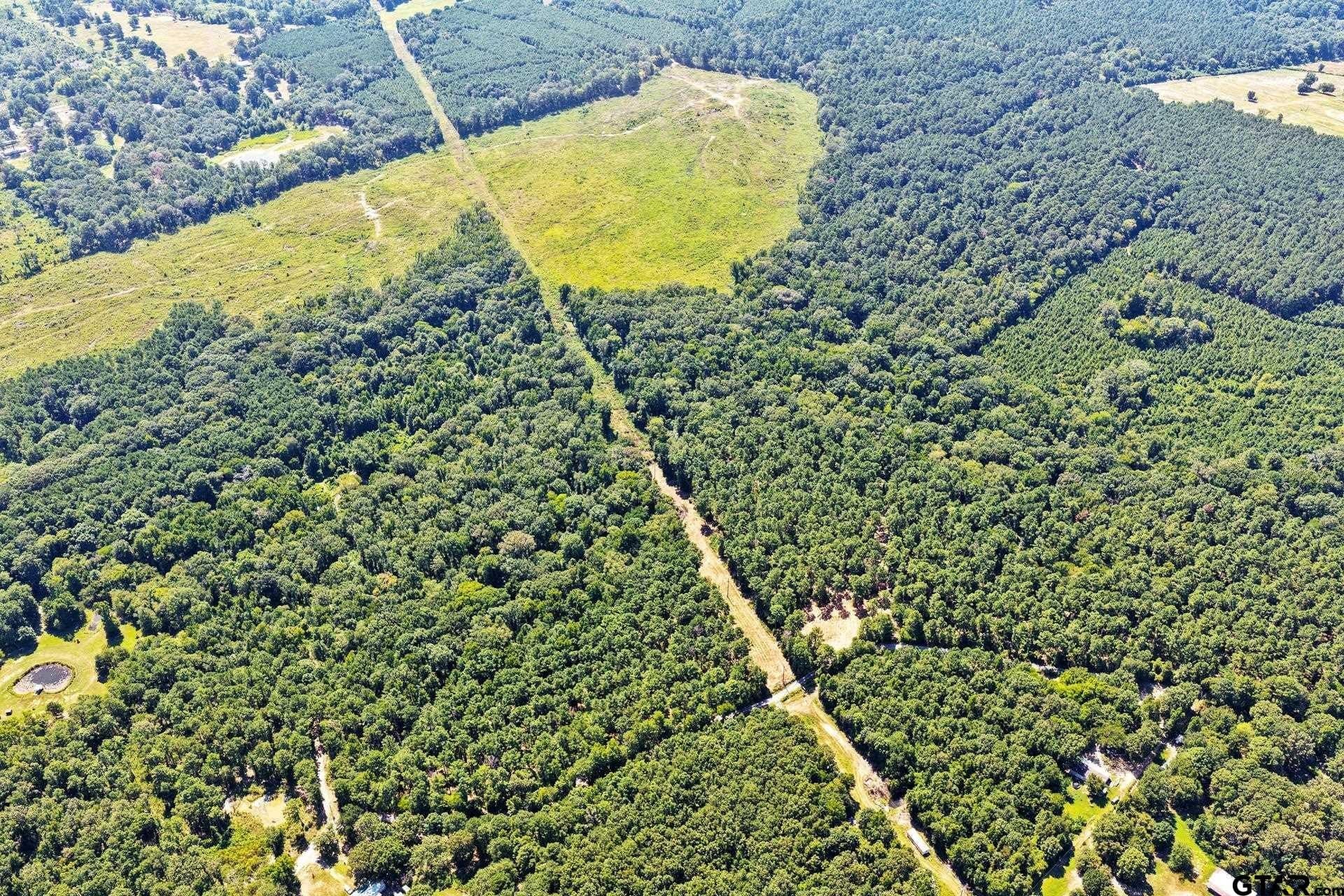 10.7 acres in Camp County - photo 5