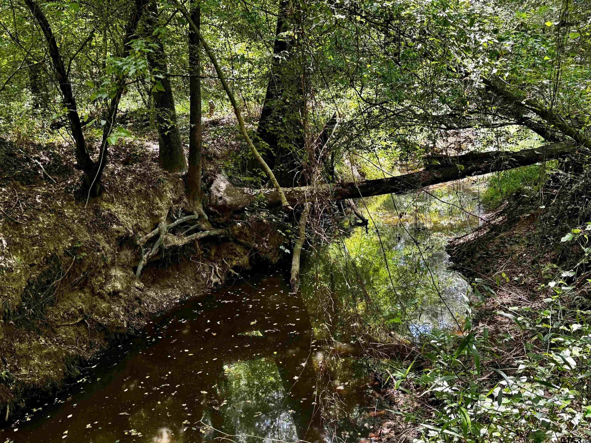 10.7 acres in Camp County - photo 15