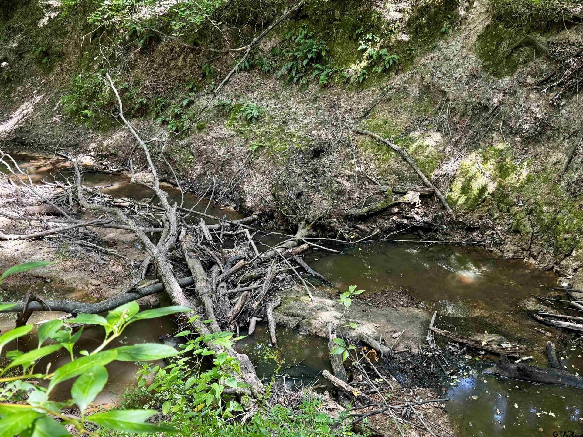10.7 acres in Camp County - photo 2