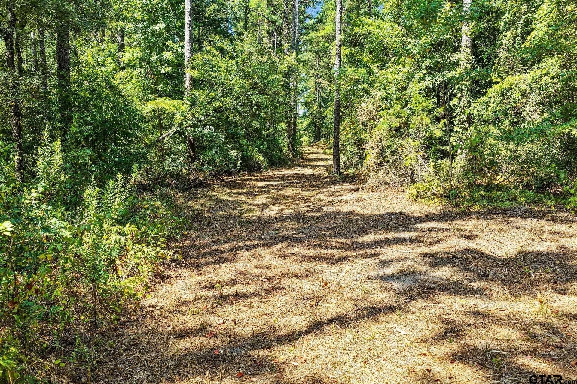 10.7 acres in Camp County - photo 27