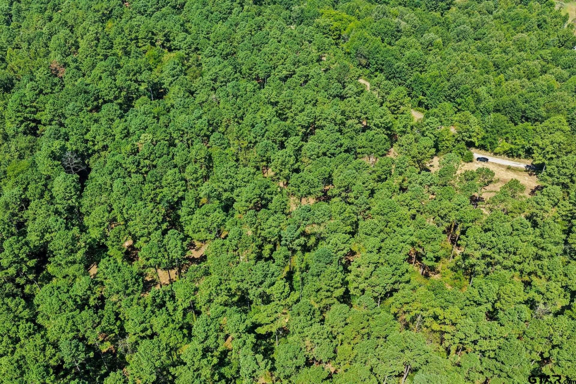 10.7 acres in Camp County - photo 10