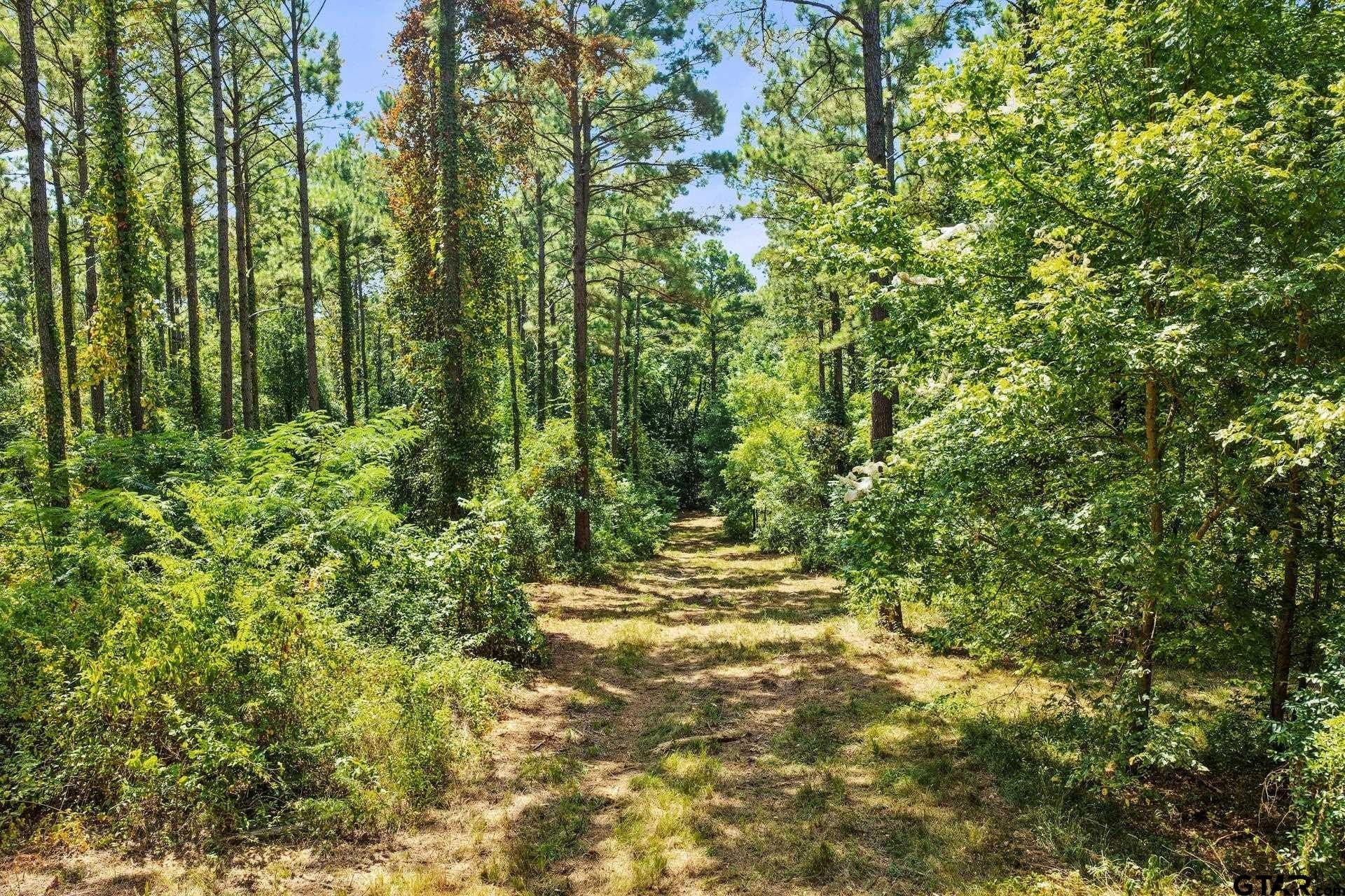 10.7 acres in Camp County - photo 23