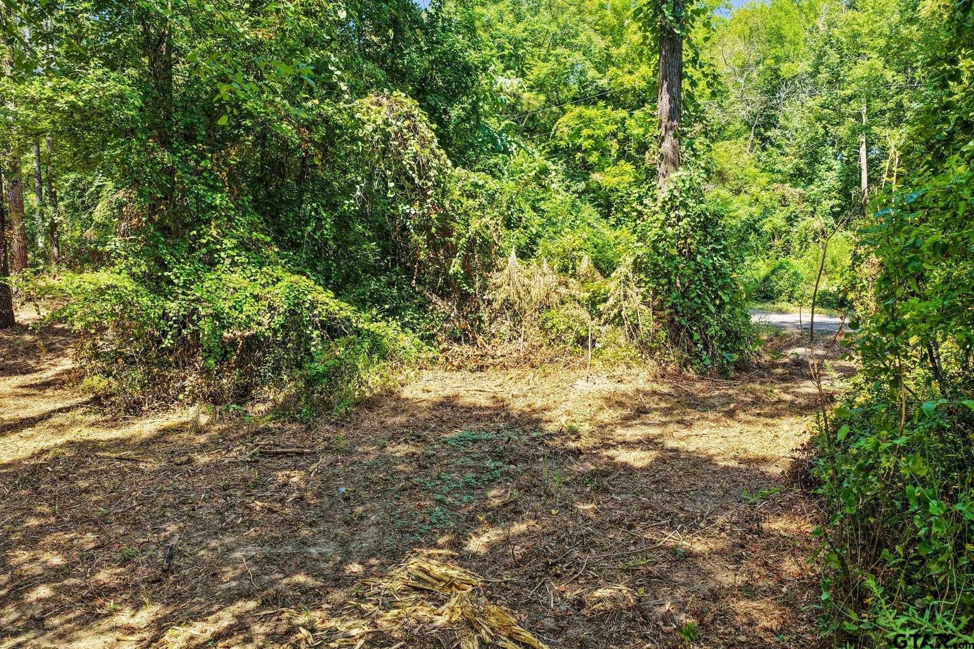 10.7 acres in Camp County - photo 26