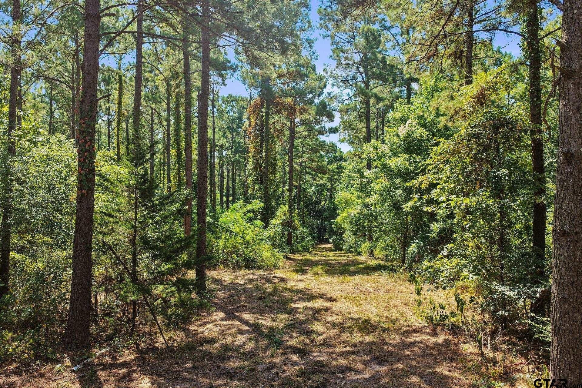 10.7 acres in Camp County - photo 22